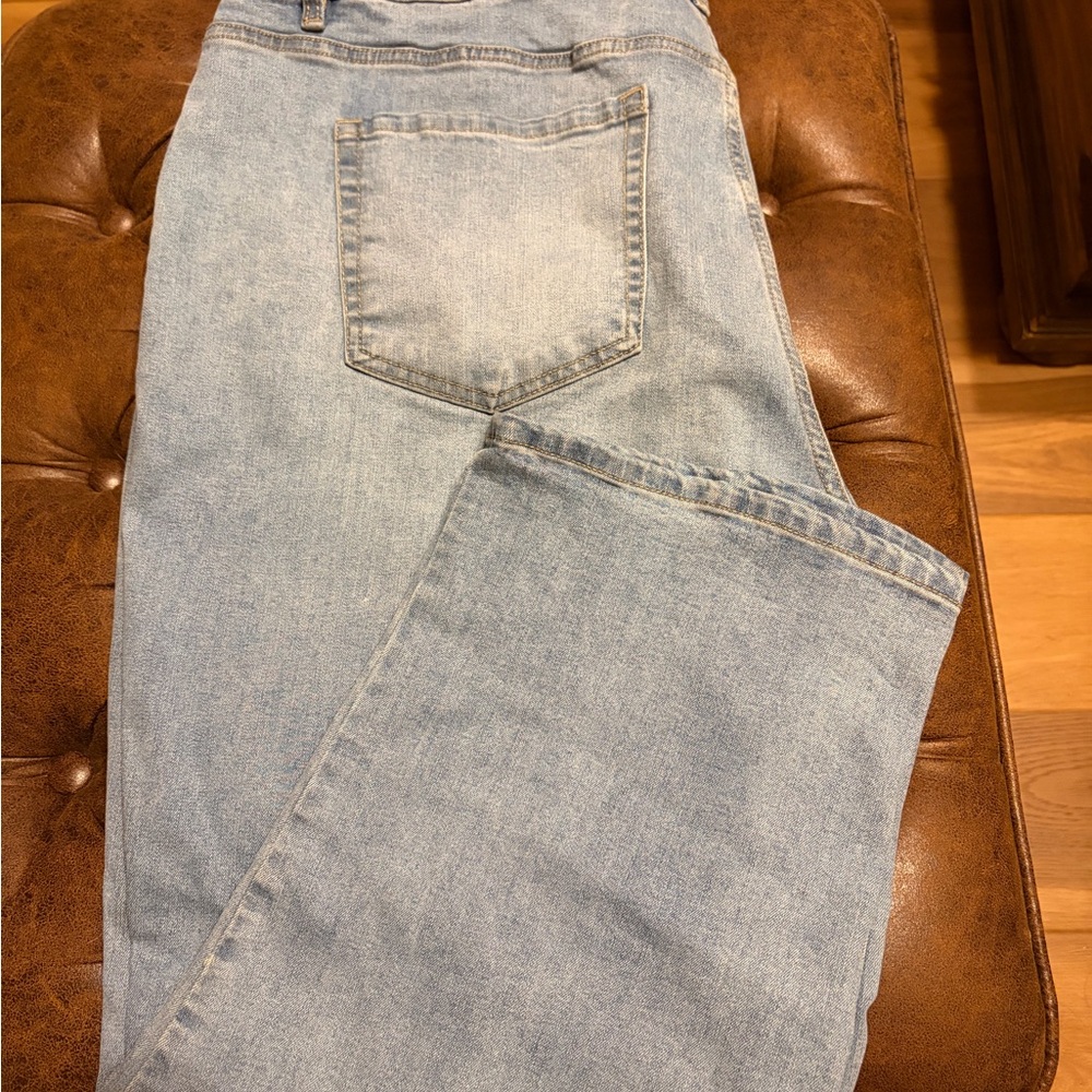 Lane Bryant Classic Blue Jeans